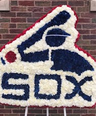 Vintage Sox Logo