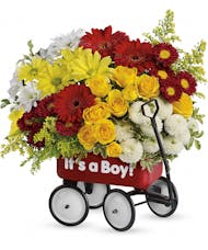Baby's Wow Wagon - Boy