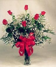 6 Red Roses Vased