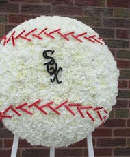 Baseball with Sox Logo