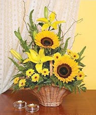 Sunflower Simplicity