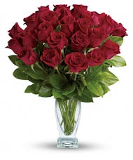 Rose Classique - Dozen Red Roses